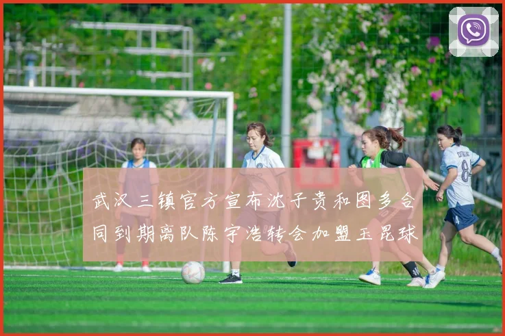 武汉三镇官方宣布沈子贵和图多合同到期离队陈宇浩转会加盟玉昆球队