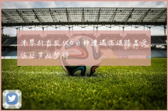 津琴科首发仅6分钟遭遇伤退膝盖受伤让贾府梦碎